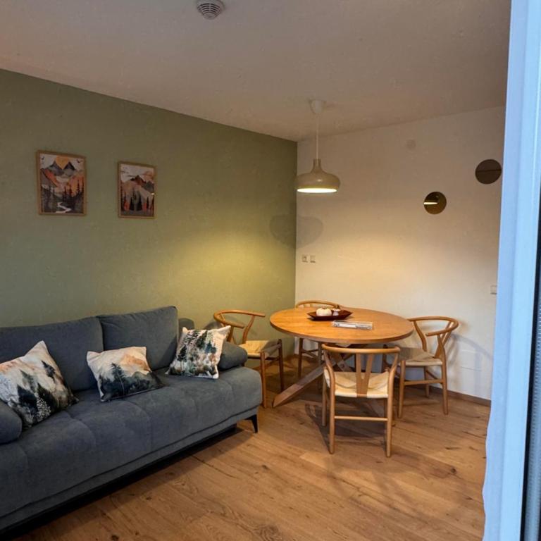 Haus Birkenhain - Alpique Apartment - One-Bedroom Apartment with Shower - 1