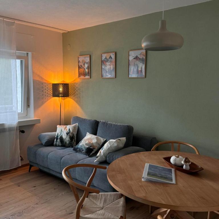 Haus Birkenhain - Alpique Apartment - One-Bedroom Apartment with Shower - 13