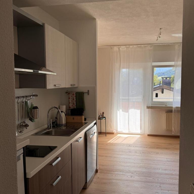 Haus Birkenhain - Alpique Apartment - One-Bedroom Apartment with Shower - 14