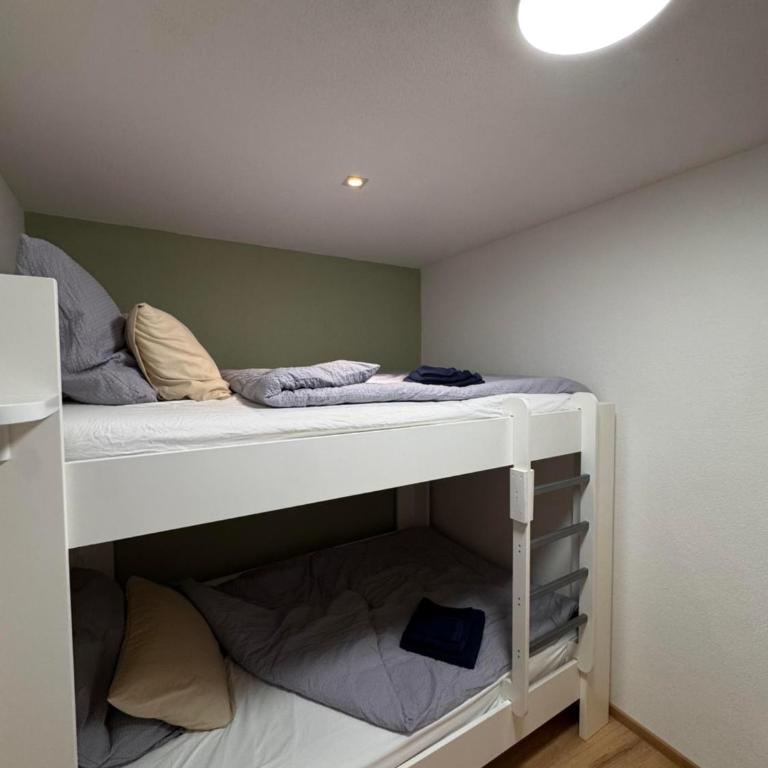 Haus Birkenhain - Alpique Apartment - One-Bedroom Apartment with Shower - 19