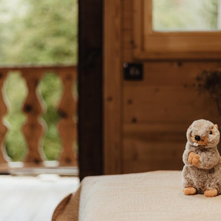 Mazot du Criou - Samoëns - Chalet mit 2 Schlafzimmern - 14