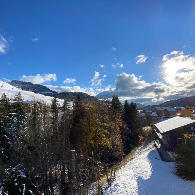 Studio confortable au centre du Chinaillon, proche commerces et pistes, avec ménage inclus - Appartement 1 Chambre - 16