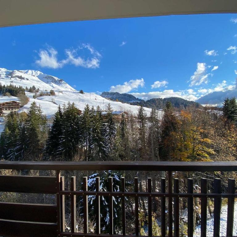 Studio confortable au centre du Chinaillon, proche commerces et pistes, avec ménage inclus - Appartement 1 Chambre - 19