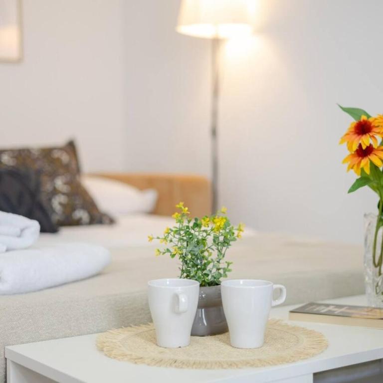 Coral Seashell Complex - Apartamento de 2 dormitorios con terraza - 25