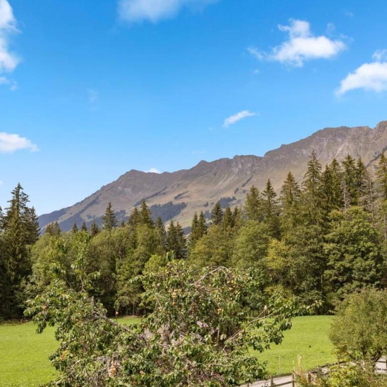 Appartement familial dans un chalet historique - Apartment mit 3 Schlafzimmern - 17