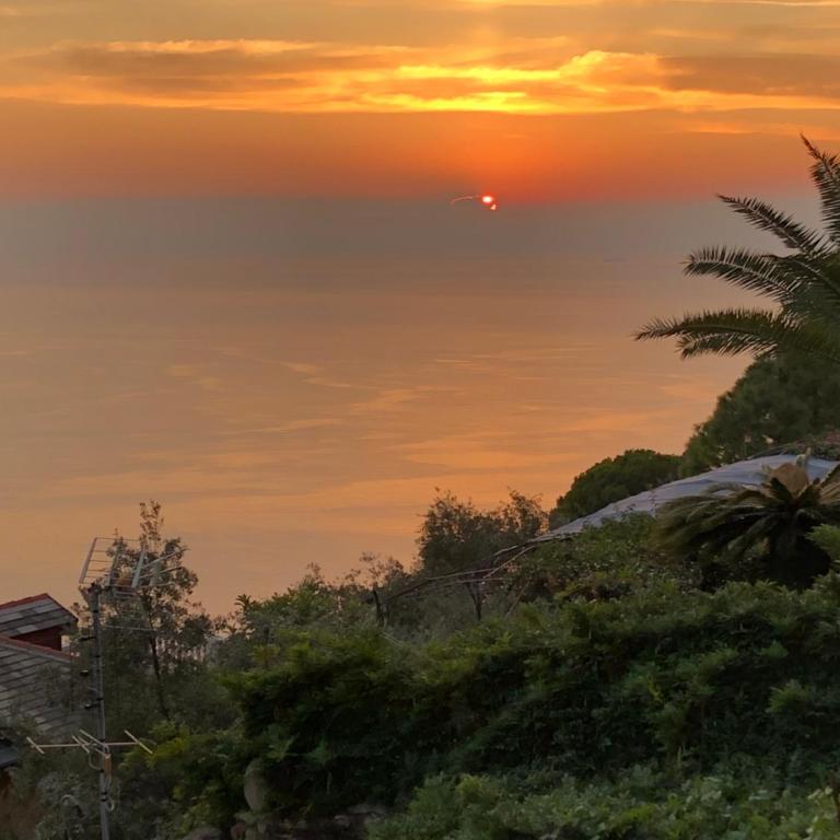 B&B Villa Orchidea - Suite con Vista Mare - 26