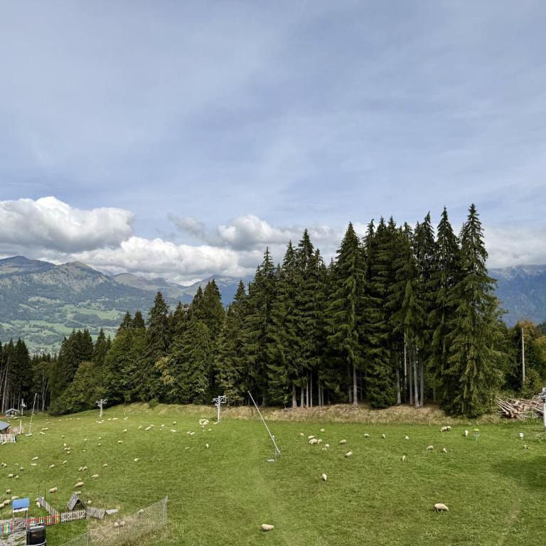 Les Hauts des Esserts N34 - 3P6 - Apartamento - 2