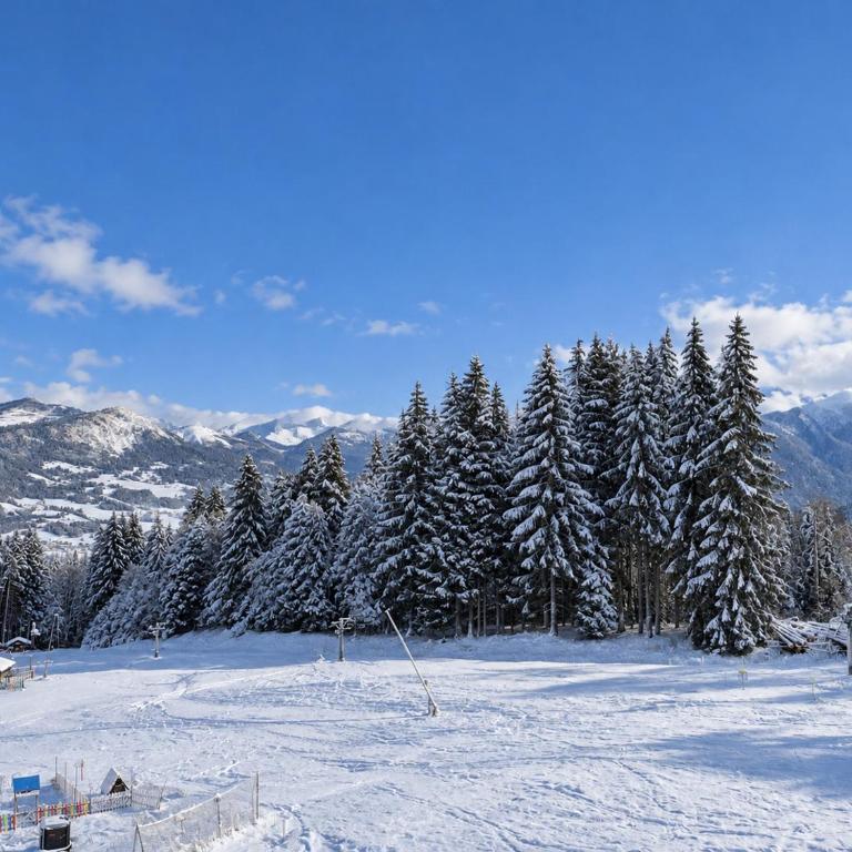 Les Hauts des Esserts N34 - 3P6 - Apartamento - 13