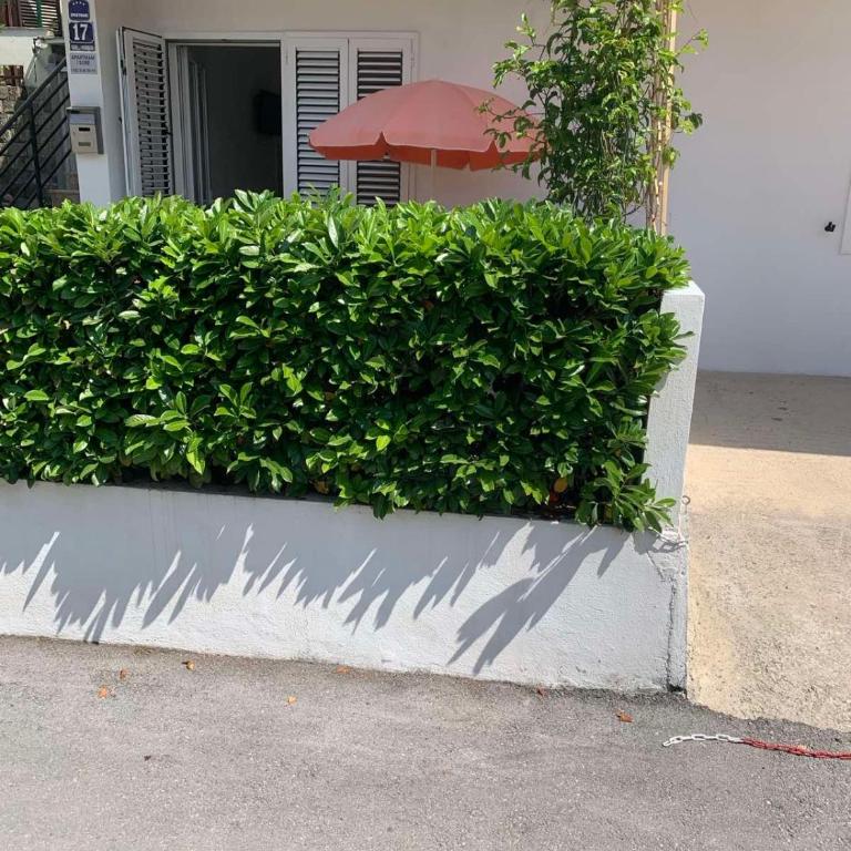 Nada Apartmani - Apartman sa 1 Spavaćom Sobom - 5