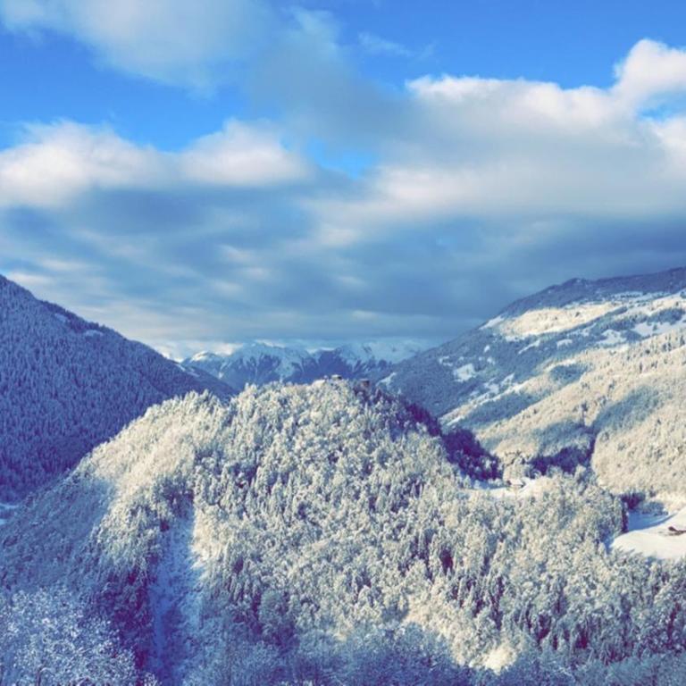 Grand Chalet Beaufortain 12 pers - Chalet - 5