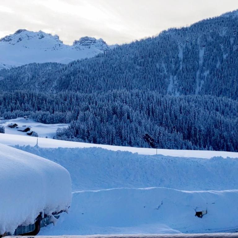 Grand Chalet Beaufortain 12 pers - Chalet - 7