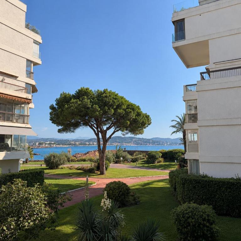 Résidence Pullman Seaside pool - One-Bedroom Apartment - 9