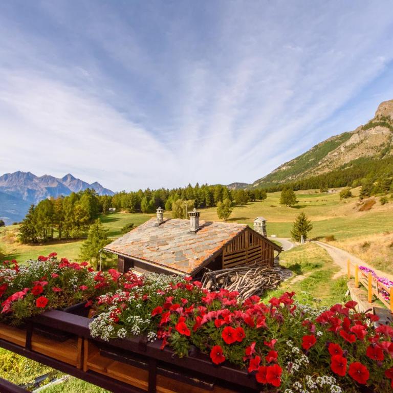 Enfin Clavon - chalet - Appartamento con Vista e Balcone - 6