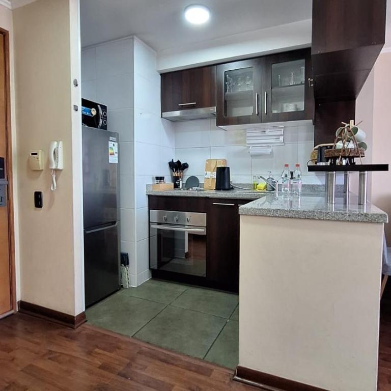 Acogedor departamento a pasos de Bellas Artes y Lastarria - One-Bedroom Apartment - 4