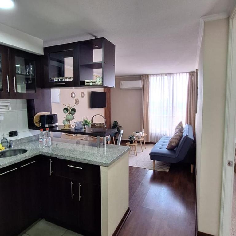 Acogedor departamento a pasos de Bellas Artes y Lastarria - One-Bedroom Apartment - 14