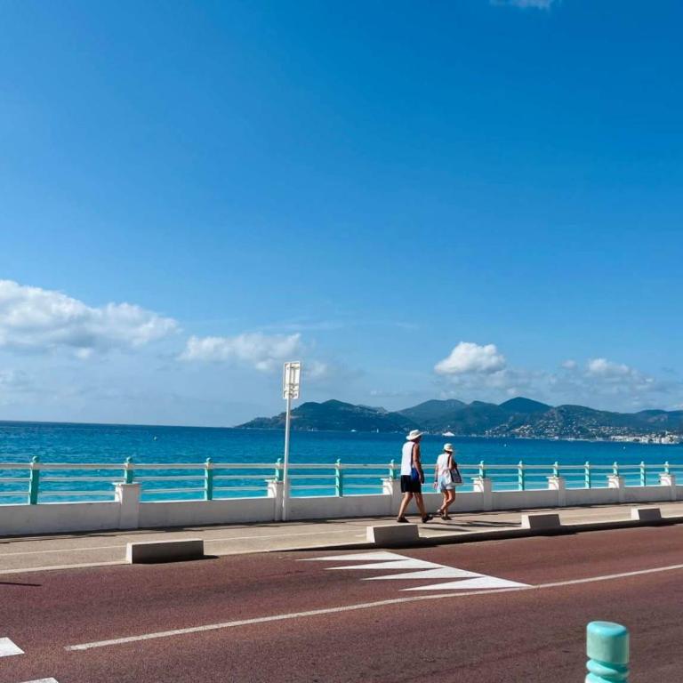 Bel Horizon - Plage - Terrasse et Parking - AC - Appartement - 12