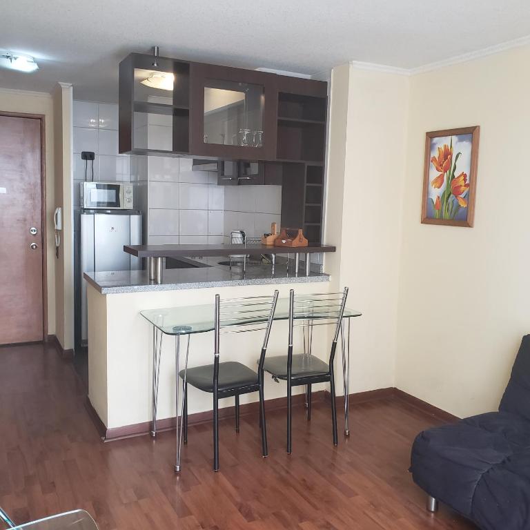Cómodo dpto centro de Santiago hasta 3 personas - One-Bedroom Apartment - 10
