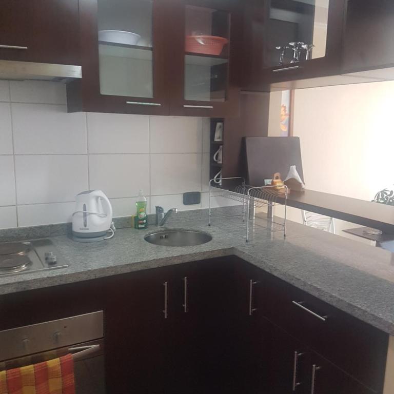 Cómodo dpto centro de Santiago hasta 3 personas - One-Bedroom Apartment - 11