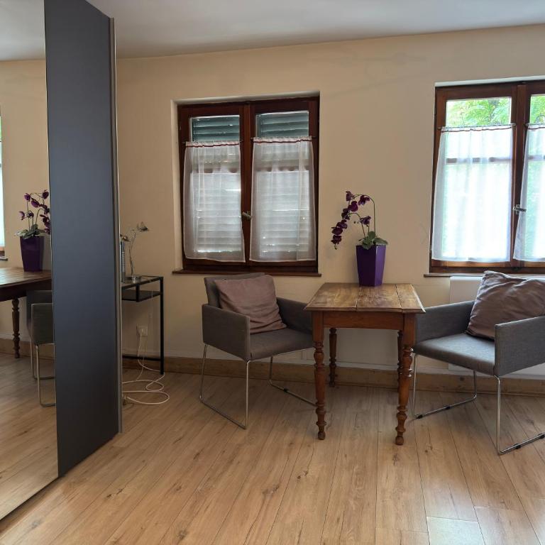 Appartement au centre historique de Strasbourg - Appartement 1 Chambre - 9