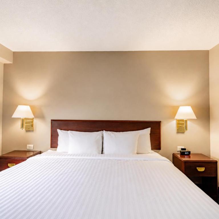 Wyndham Garden Monterrey Norte - Habitación Doble adaptada para personas de movilidad reducida - 2 camas dobles - No fumadores - 1