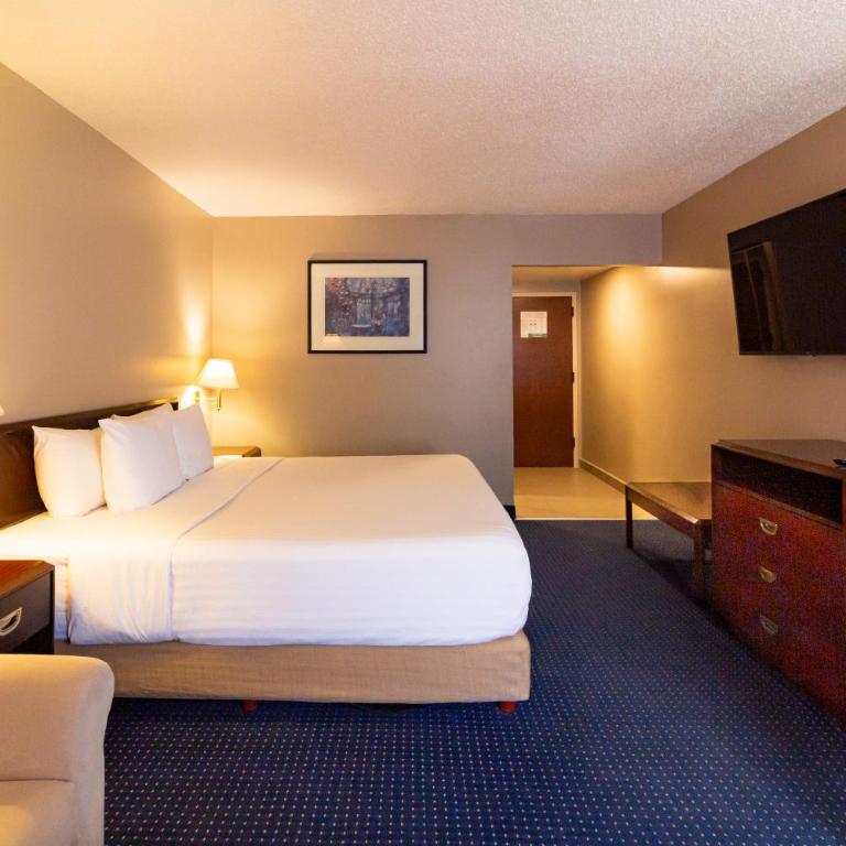 Wyndham Garden Monterrey Norte - Habitación con cama extragrande. - 1