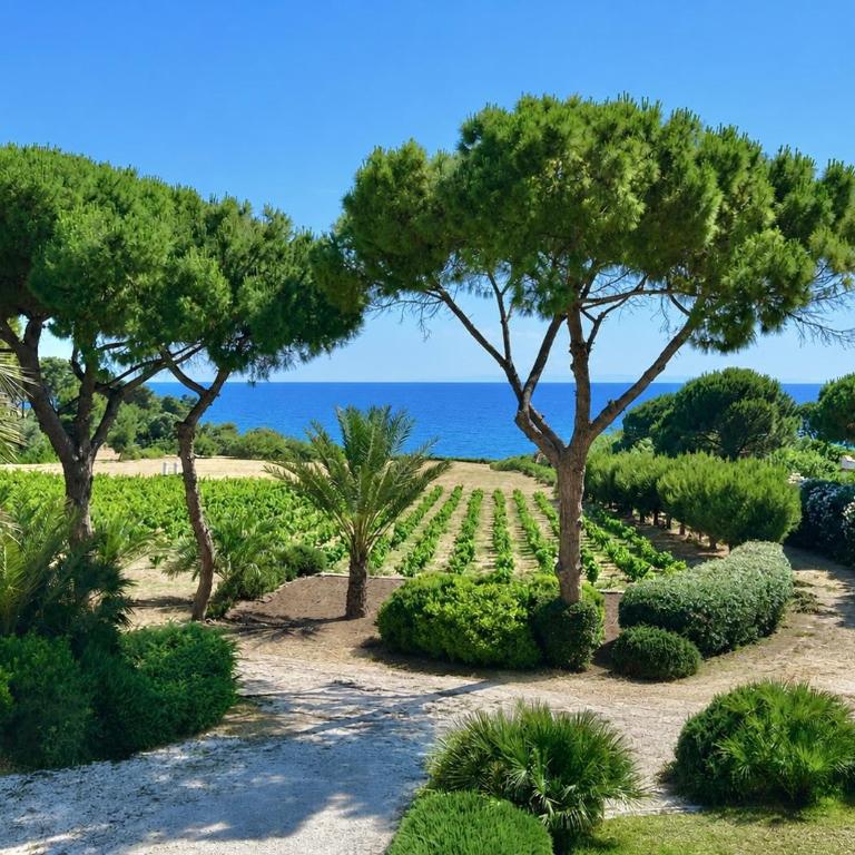 Villa Miramar R&Y - Maison 2 Chambres - 4