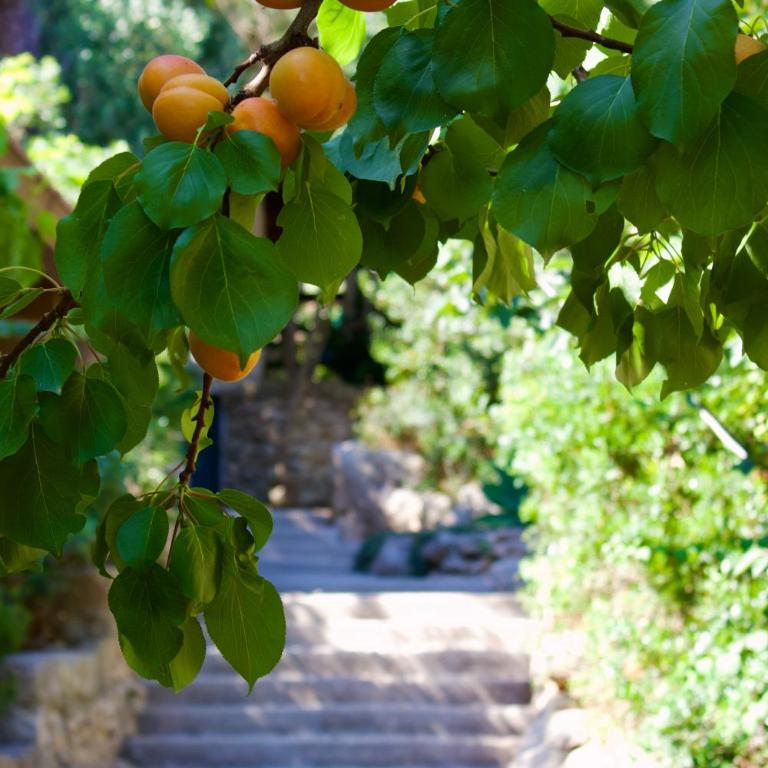 Villa Miramar R&Y - Maison 2 Chambres - 7