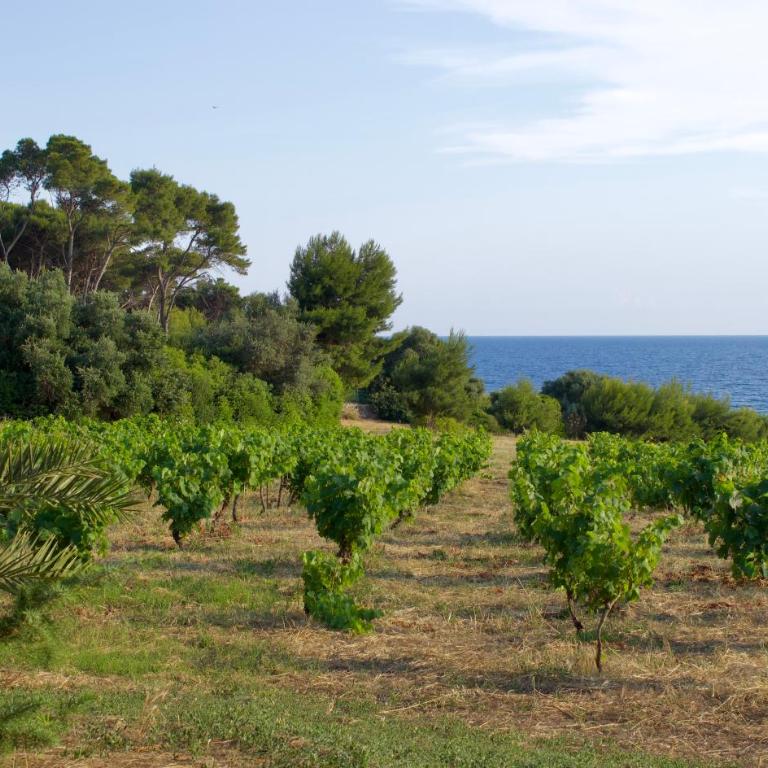 Villa Miramar R&Y - Maison 2 Chambres - 22