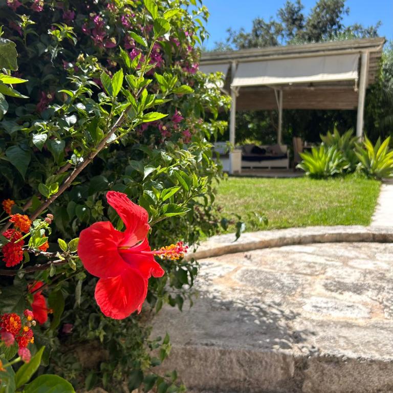Villa Miramar R&Y - Maison 2 Chambres - 55