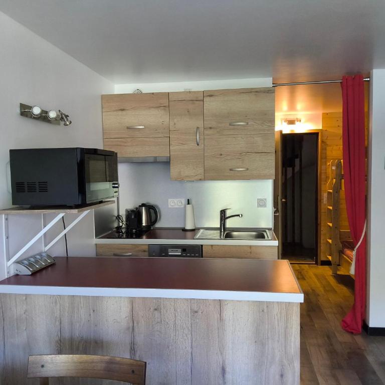 Studio douillet aux deux Alpes - Appartement 1 Chambre - 28