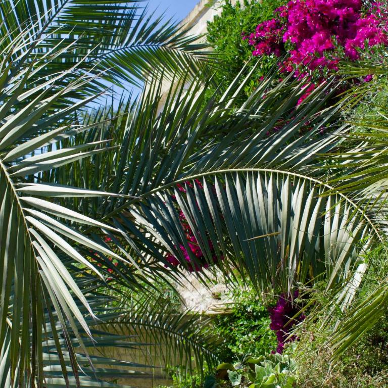 Villa Miramar R&Y - Maison 2 Chambres - 75