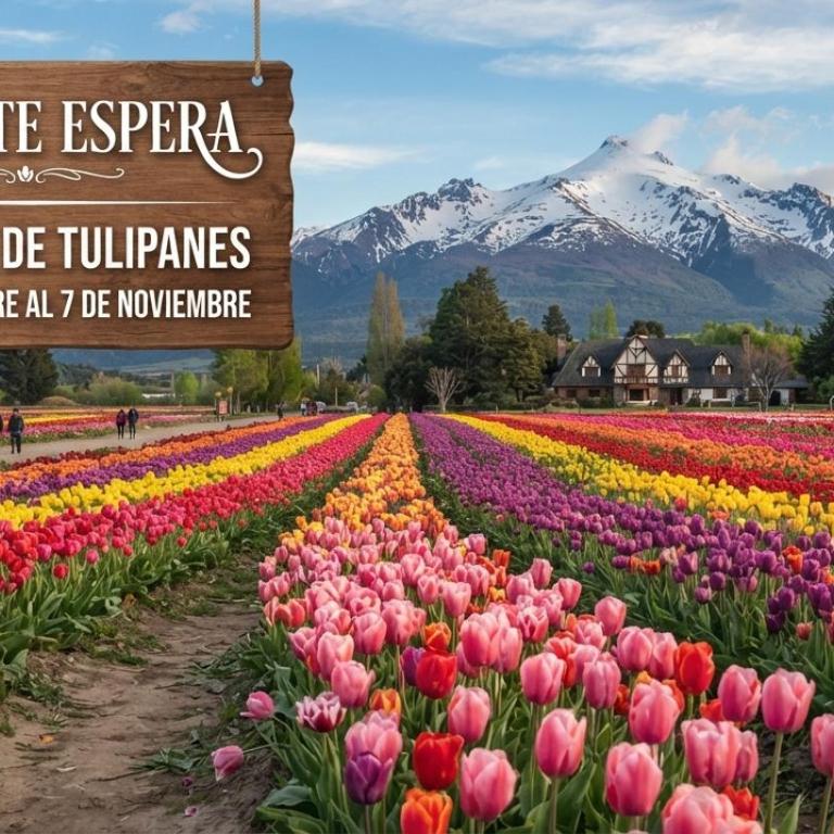 Esquel te Espera - Apartamento de 1 dormitorio - 1