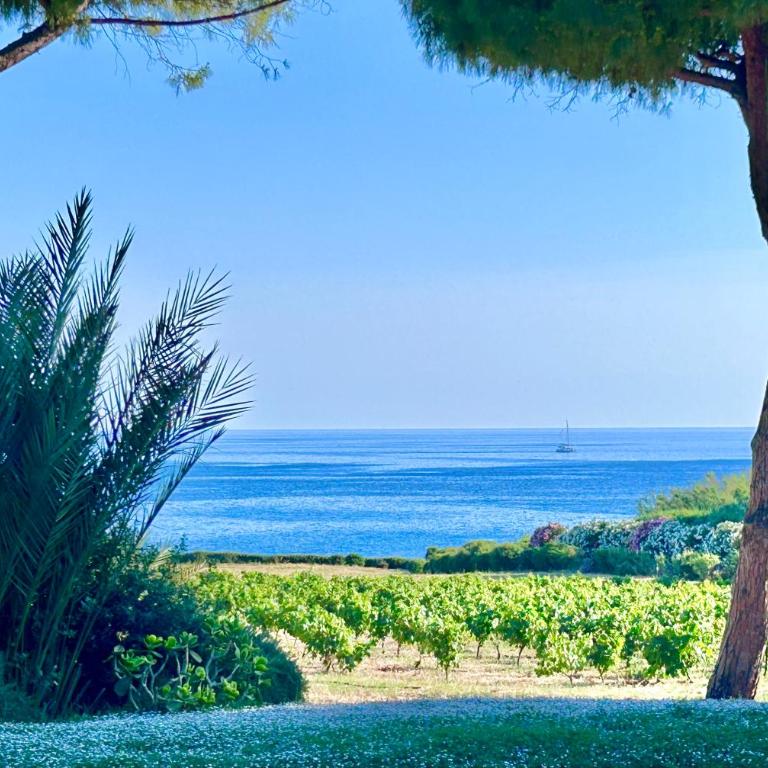 Villa Miramar R&Y - Maison 2 Chambres - 77