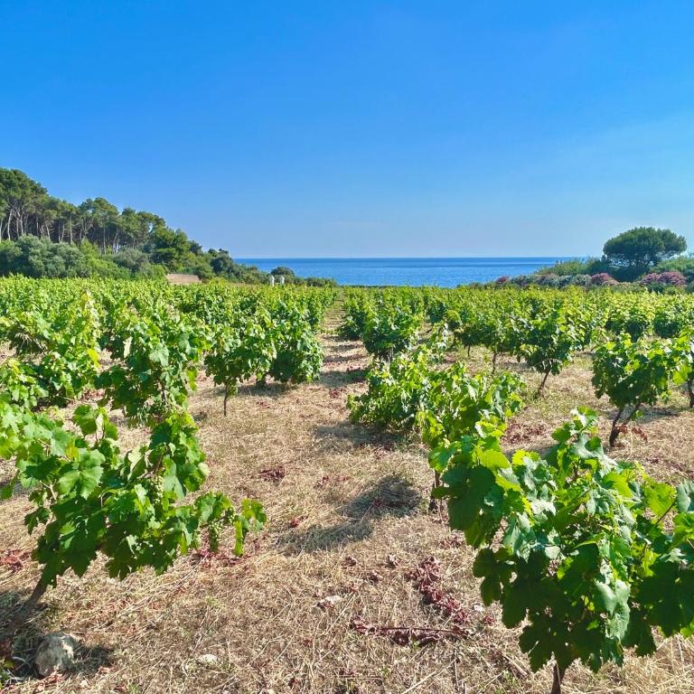 Villa Miramar R&Y - Maison 2 Chambres - 78