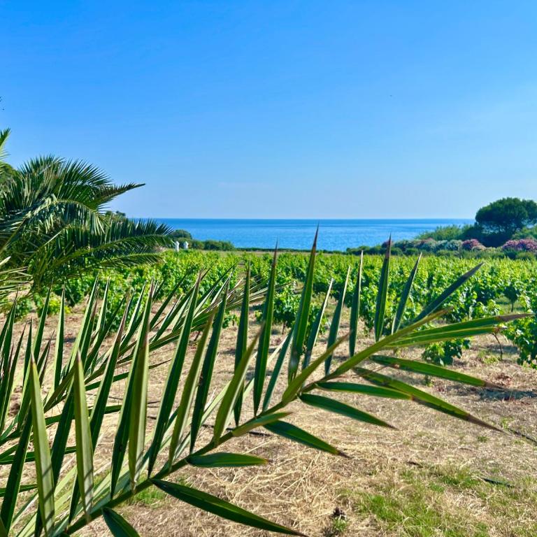 Villa Miramar R&Y - Maison 2 Chambres - 90
