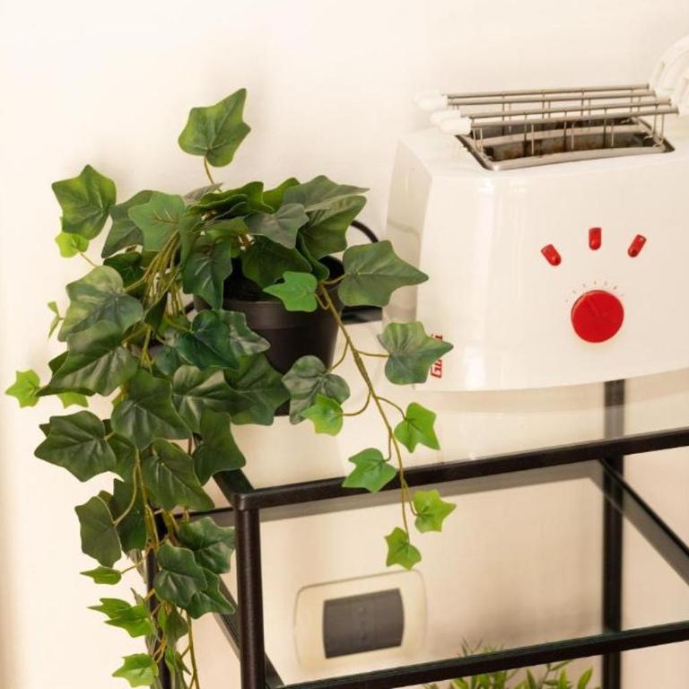 Ammannati Rental in Florence - Appartamento con 1 Camera da Letto - 3