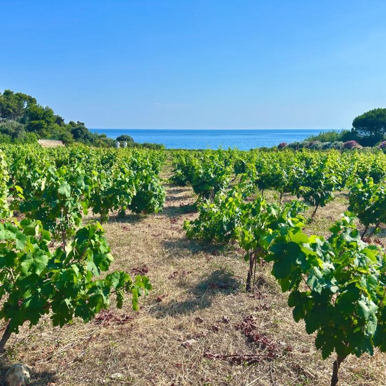 Villa Miramar R&Y - Maison 2 Chambres - 98