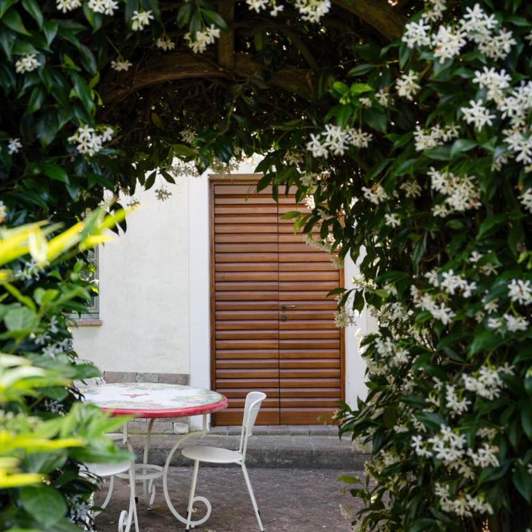 Poderi Arcangelo - Appartement 1 Chambre - Annexe - 12