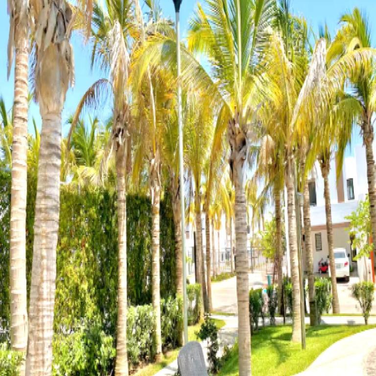 Palmillas Azul Mar Grand Residential - Apartamento de 3 dormitorios - 10
