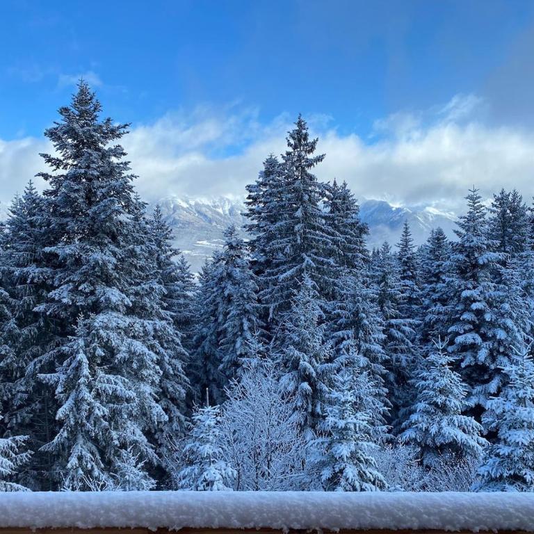 Chalet des Ours - Southern Alps - Chalet 1 Chambre - 9