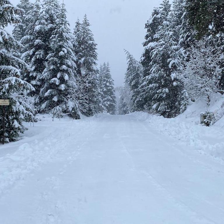 Chalet des Ours - Southern Alps - Chalet 1 Chambre - 26