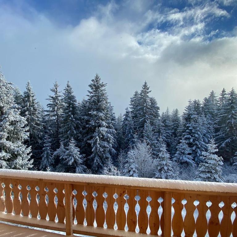 Chalet des Ours - Southern Alps - Chalet 1 Chambre - 36
