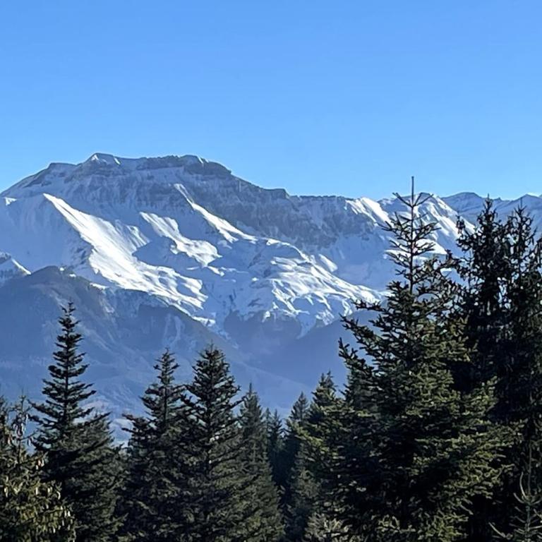 Chalet des Ours - Southern Alps - Chalet 1 Chambre - 48