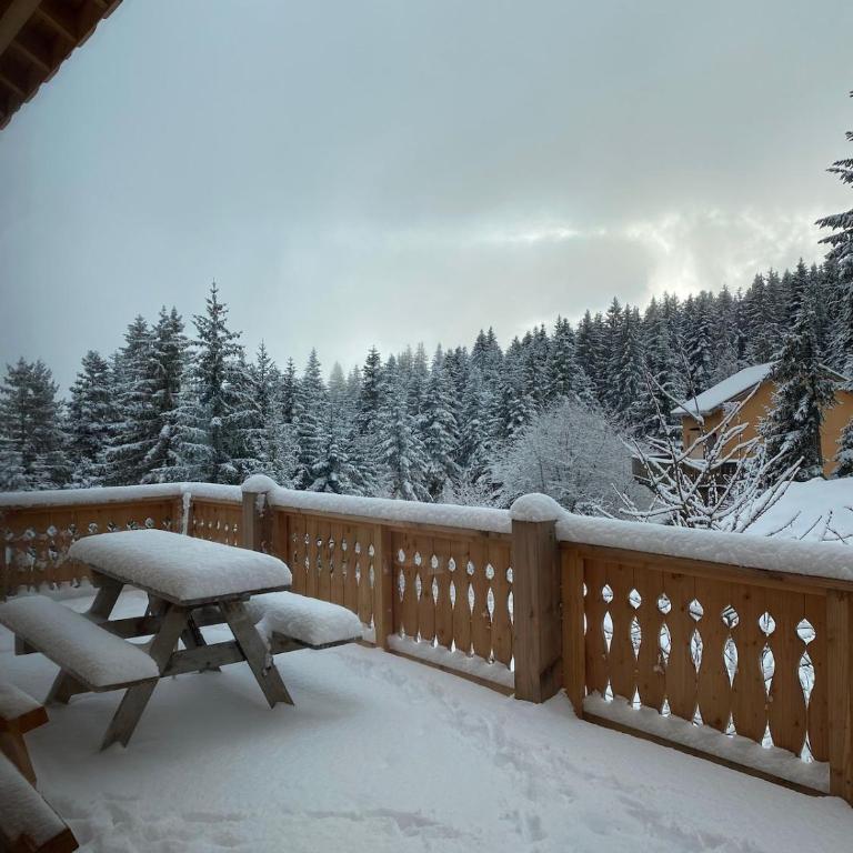 Chalet des Ours - Southern Alps - Chalet 1 Chambre - 64