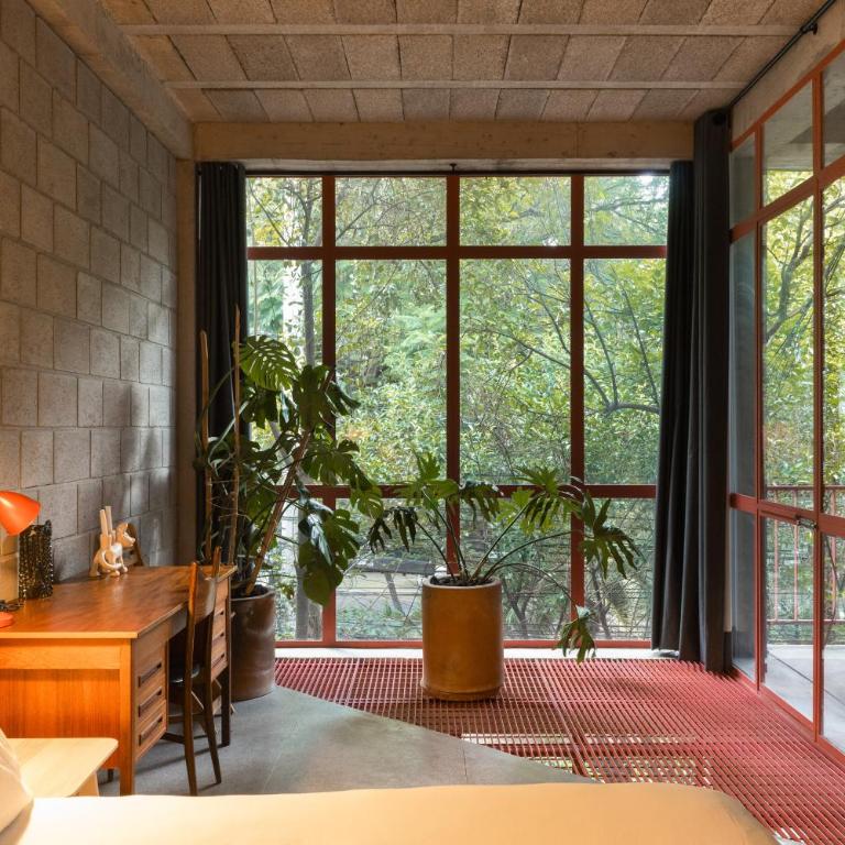 Xolo Condesa - Appartement Supérieur avec Balcon - 4