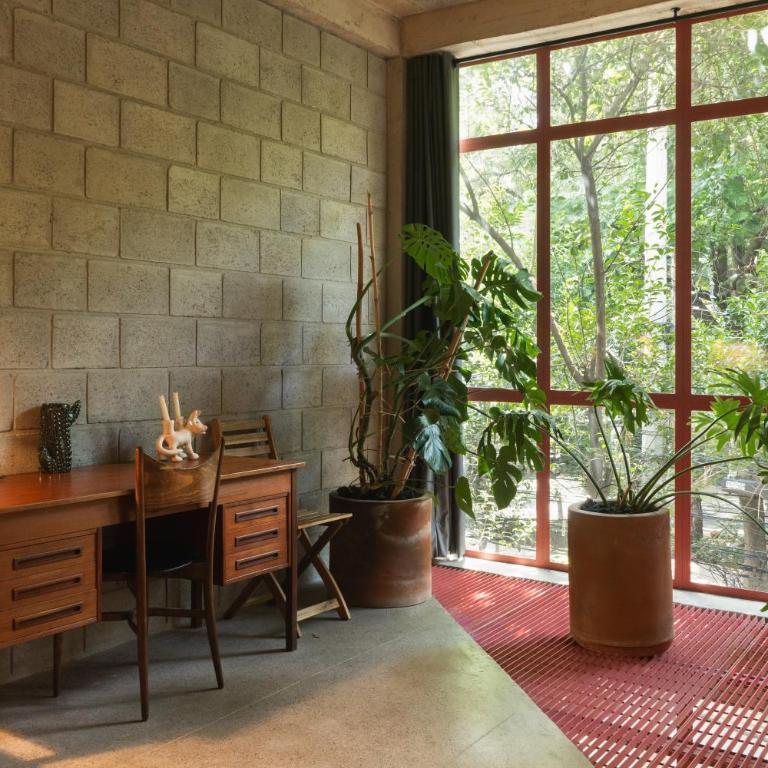 Xolo Condesa - Appartement Supérieur avec Balcon - 9