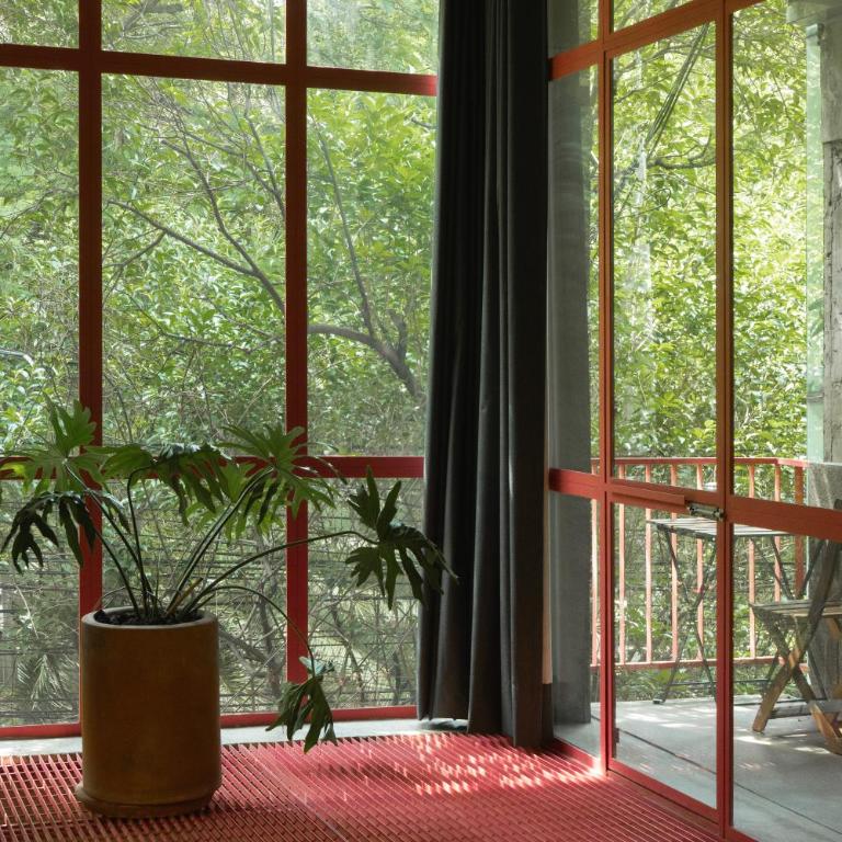 Xolo Condesa - Appartement Supérieur avec Balcon - 8