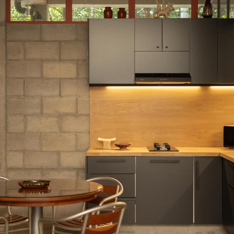 Xolo Condesa - Appartement en Duplex - 5