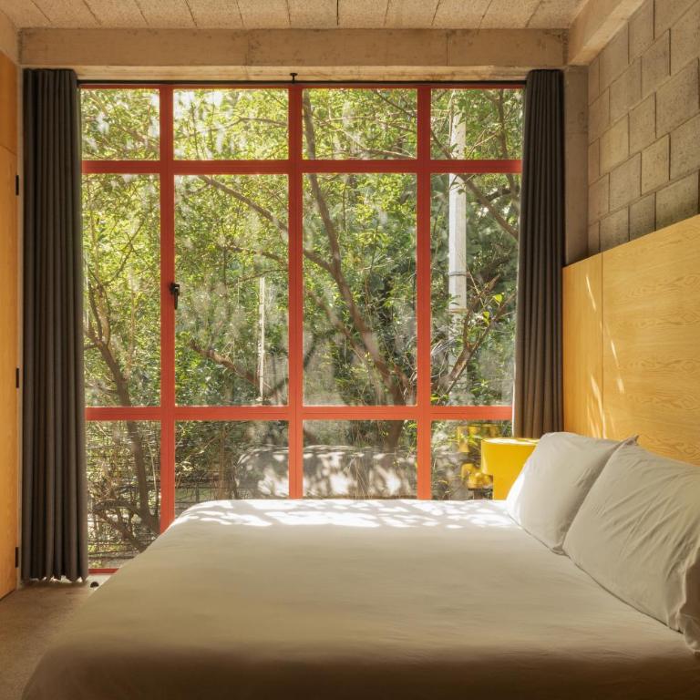 Xolo Condesa - Appartement en Duplex - 8