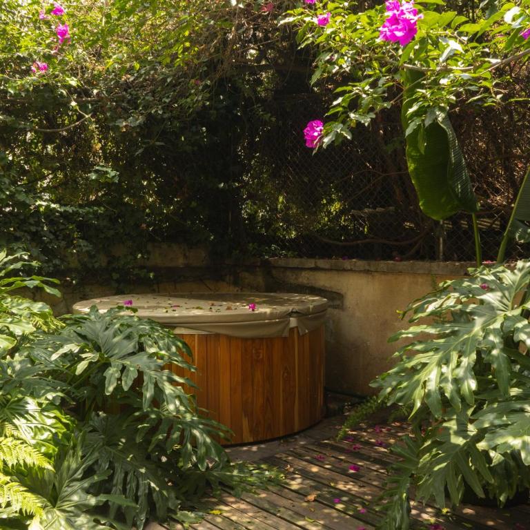 Xolo Condesa - Appartement 2 Chambres avec Terrasse - 12